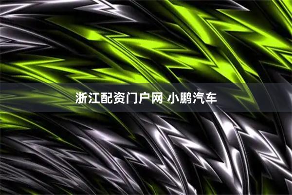 浙江配资门户网 小鹏汽车